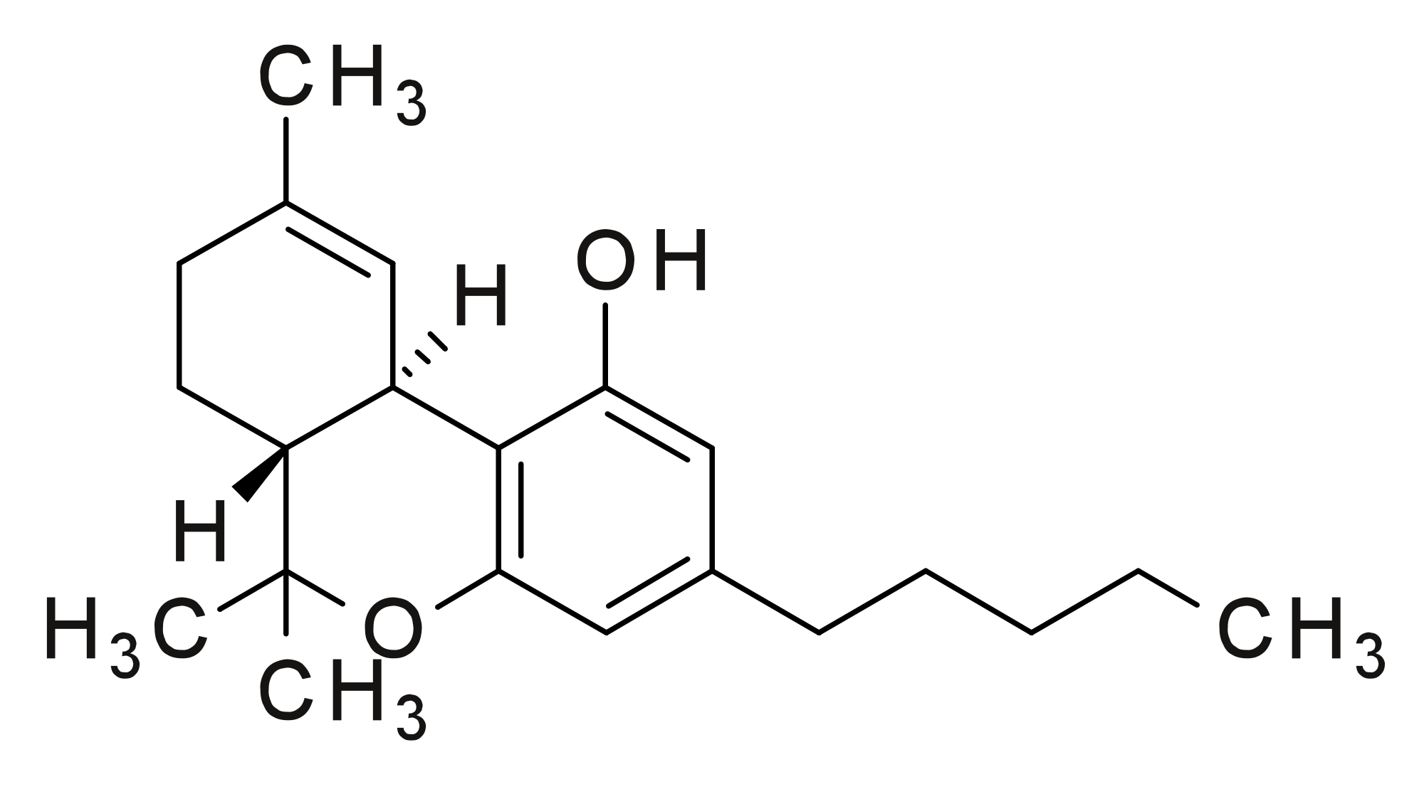 THC Vs CBD Bask Inc