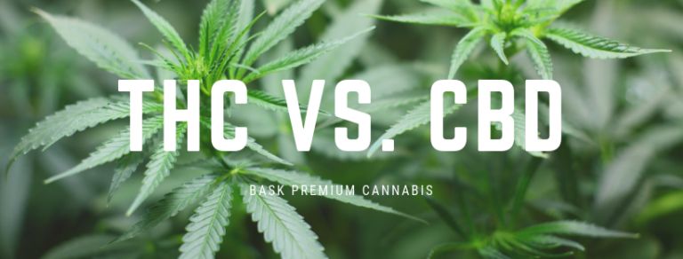 THC vs. CBD