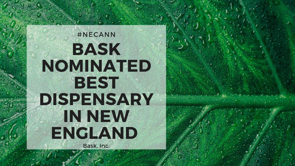 BASK Nominated “Best Medical Dispensary”