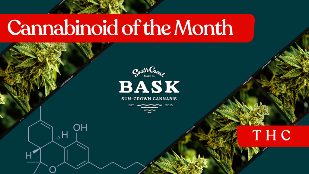 Bask Presents Cannabinoid of the Month THC