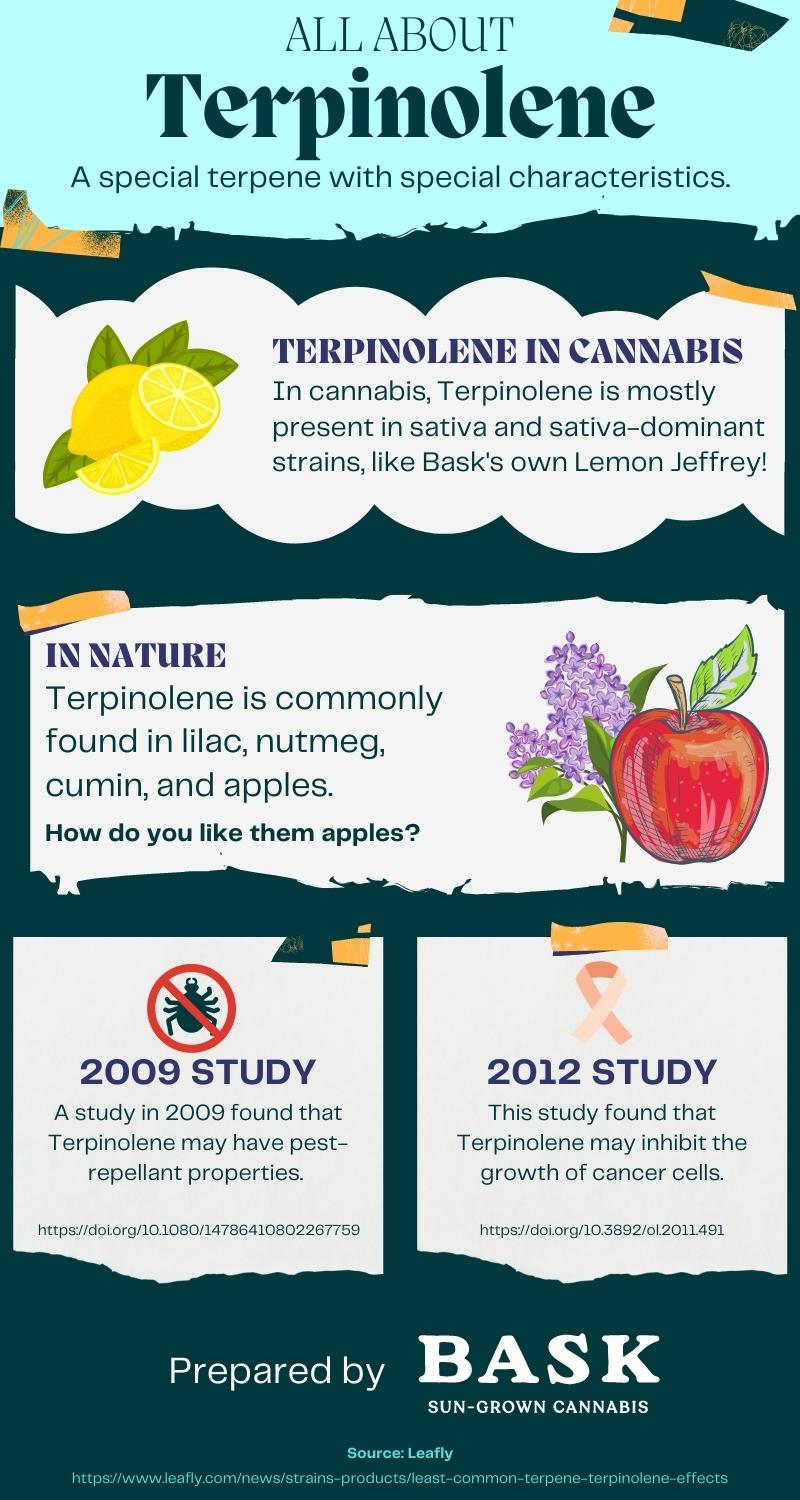 All About Terpinolene