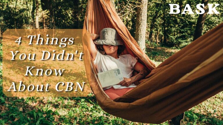 4 things you didn't know about CBN is a blog by Bask
