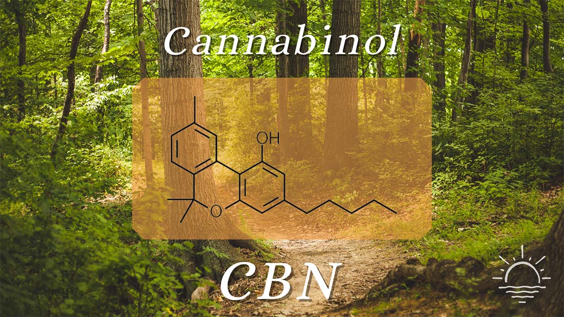 cannabinol molecule shown in front of a forest path