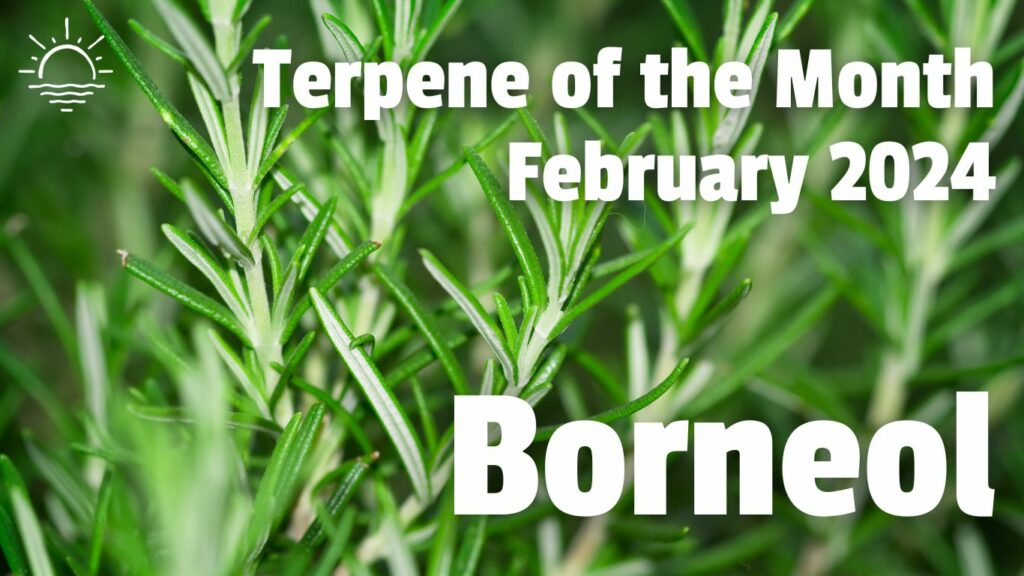 Borneol