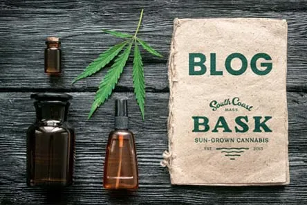 Bask Recreational Medical Cannabis Dispensary Massachusetts Blog Image