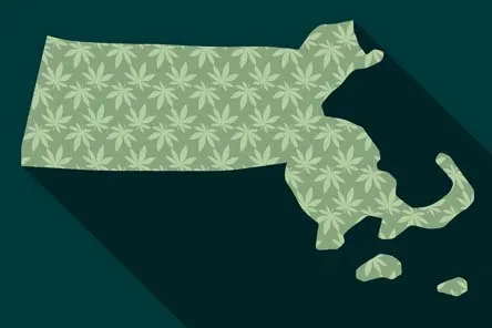 Bask Recreational Medical Cannabis Dispensary Massachusetts Blog Image