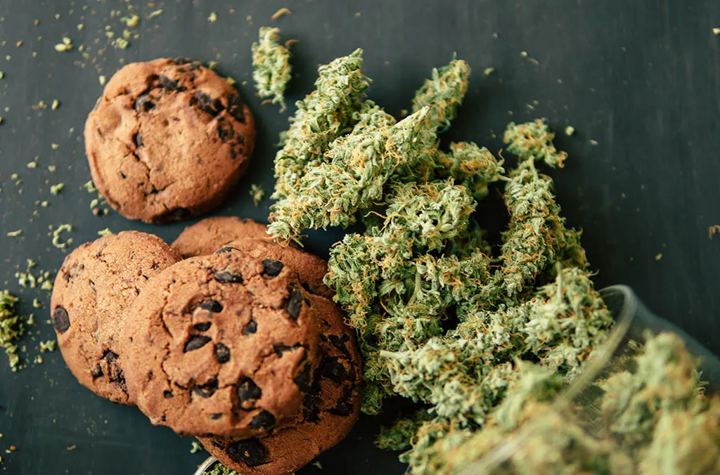 Bask Recreational Medical Cannabis Dispensary Massachusetts Cannabis Edibles Image