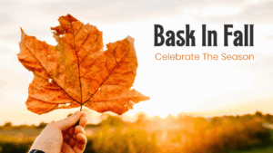 Bask In Fall