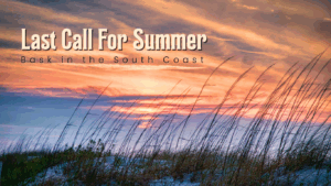 Bask in the South Coast
