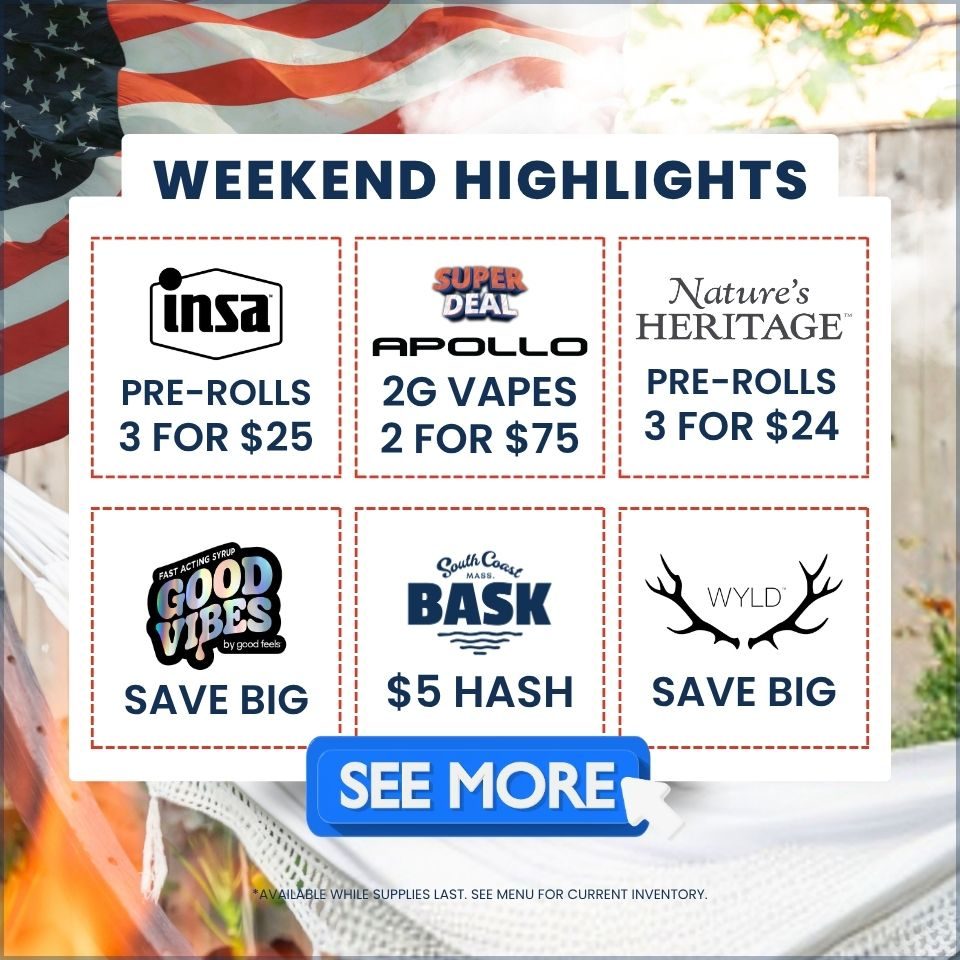 Shop highlights now