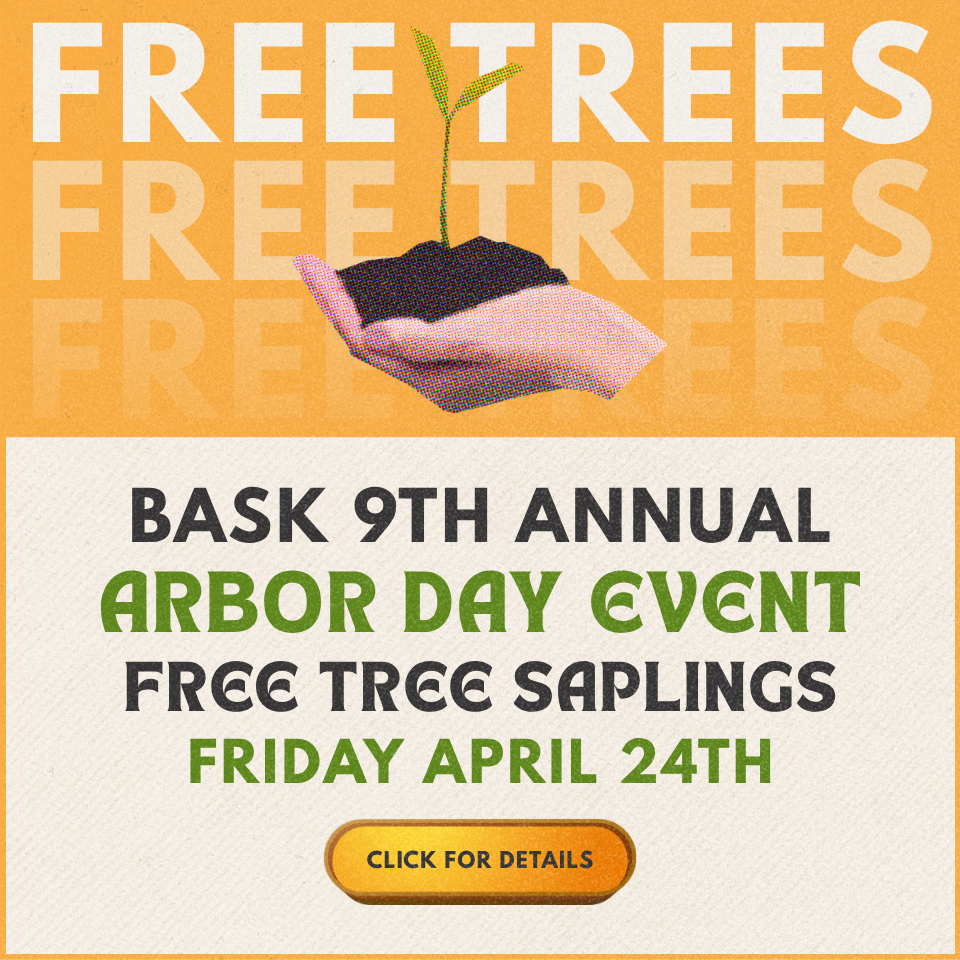 Free Trees 2026!
